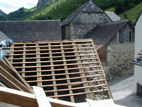 image6.jpg