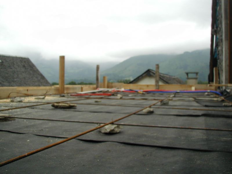 image7.jpg