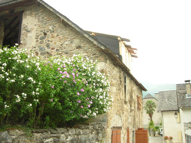 image2.jpg