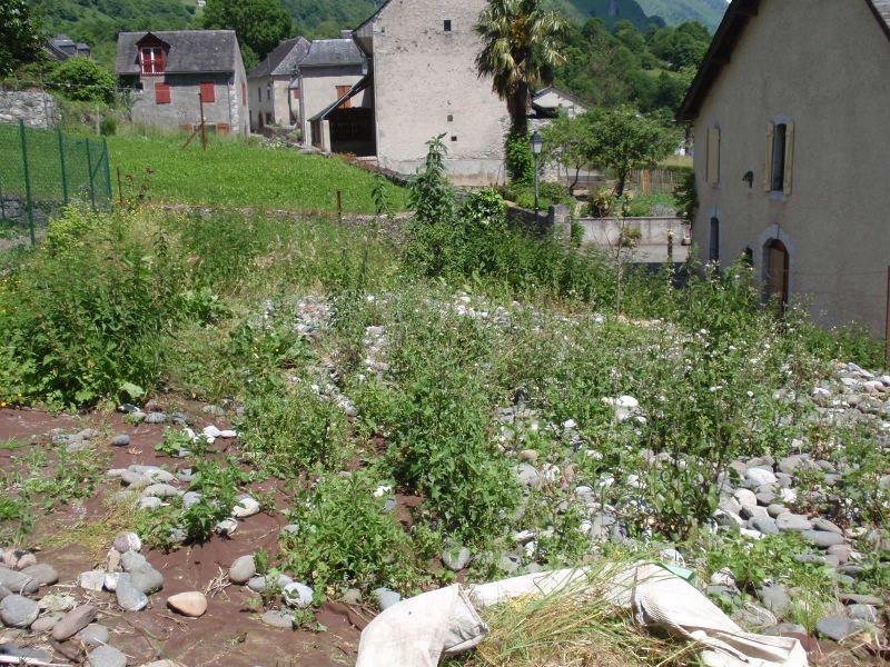 image2.jpg