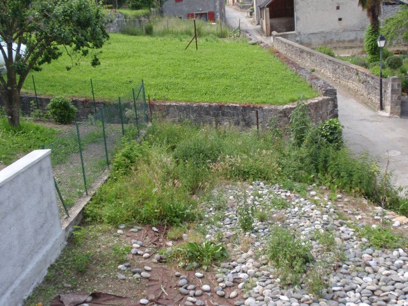 image3.jpg