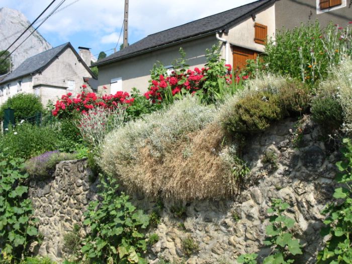 image21.jpg