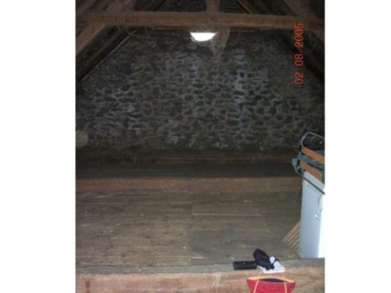 image1.jpg